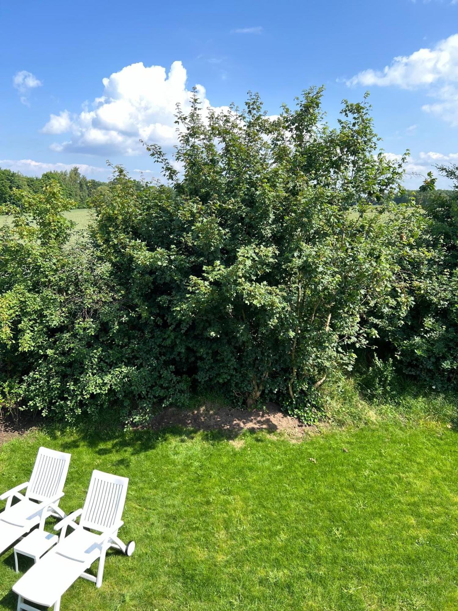 Haus Schoensee Heede Eksteriør billede